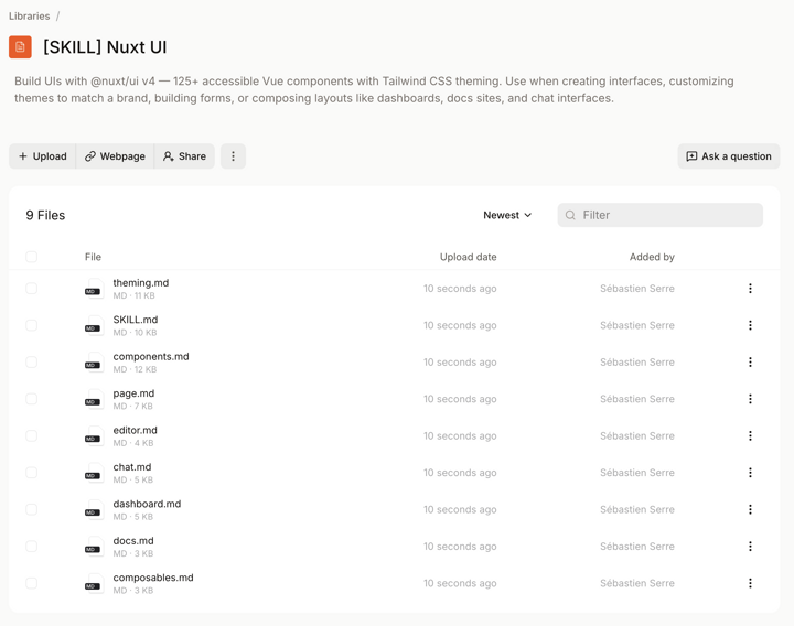Skill Library Files in Mistral AI Le Chat Screenshot
