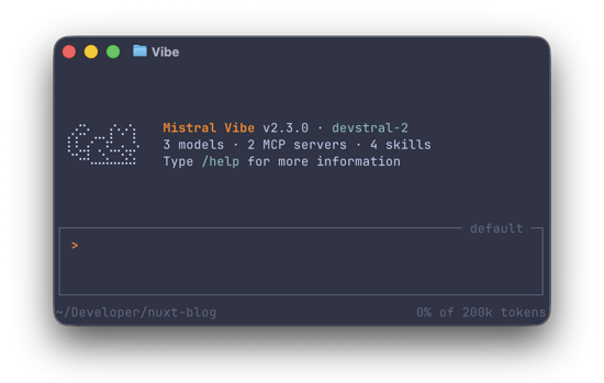 Mistral Vibe Screenshot